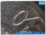 magnified image of bullet