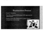 Excerpt from powerpoint