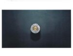 firearms exam in richard allen case