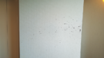 marks on a hotel wall