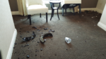 broken glass in a hotel room