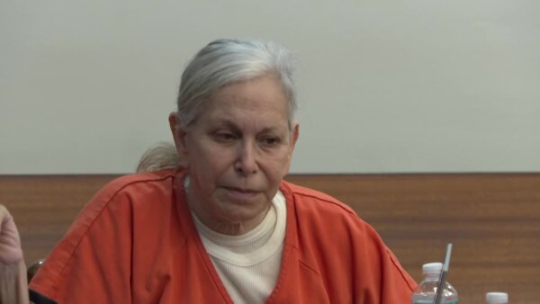 Donna Adelson’s expert cites Bryan Kohberger in bid to move trial