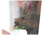 handprints on window