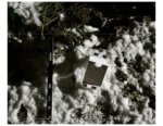 footprint in snow