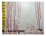 blood drips on wall