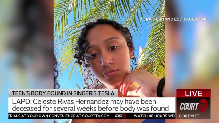 Investigator Claims to Know Who Moved D4vd's Car With Body of Teenager