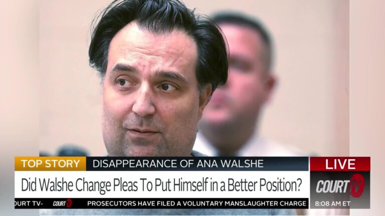 Brian Walshe Pleas: Accepting Responsibility or Trial Strategy?