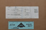 Greyhound bus ticket