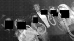Trump with Unknown Women