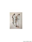 compound bows