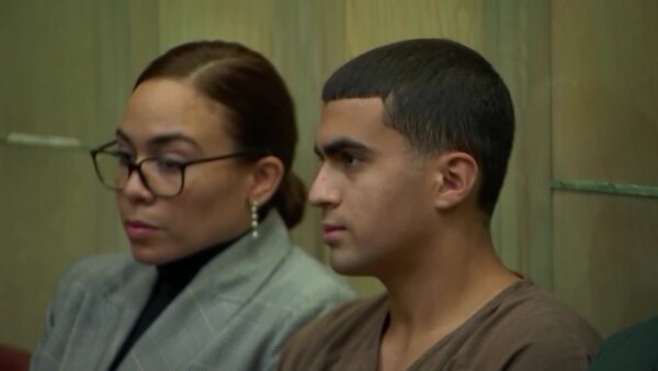 Fla. teen pleads guilty to brutally stabbing mother to death while she was sleeping