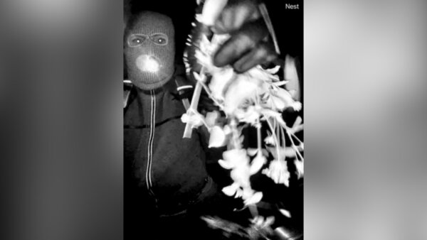 No matches to glove DNA, Nancy Guthrie investigators say