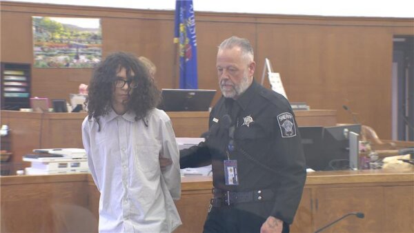 Teen pleads guilty in death of 5-year-old Prince McCree