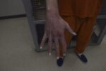 close up of hand