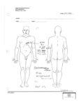 autopsy diagram