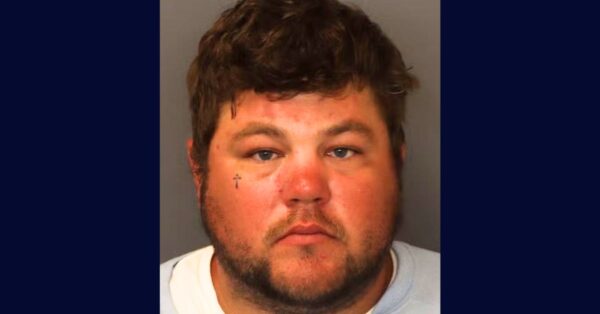 Man ‘cleaning up branches’ at work has head crushed by co-worker trying to play with shadows: Police