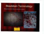 Graphic explanation for types of bloodstains. (court exhibit)