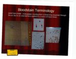 Graphic explanation for types of bloodstains. (court exhibit)