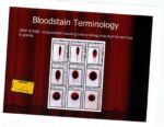 bloodstain terminology explaination