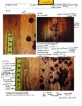 Handwritten notes appear on photos of bloodstains at the Clancy home. (court exhibit)