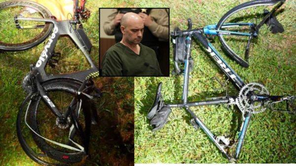 ‘This defies the laws of physics’: Defense expert blasts prosecution theory of Gaudreau brothers’ deaths as ‘beyond bizarre’