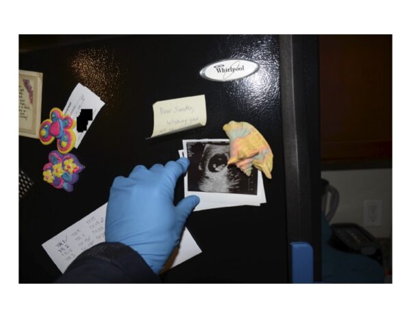 photo shows a sonogram on a fridge